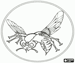 desenho de Logo de O Besouro Verde para colorir