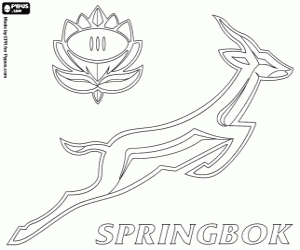 desenho de Logo dos Sringboks para colorir