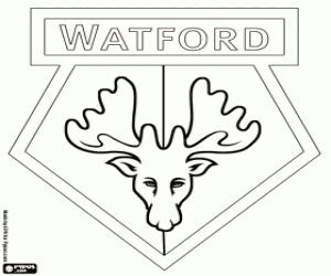 desenho de Logotipo de Watford FC para colorir