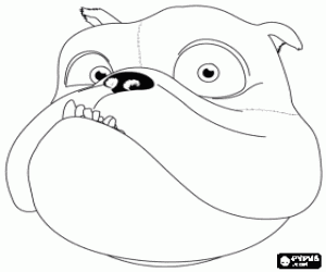 desenho de Luiz, um bulldog para colorir