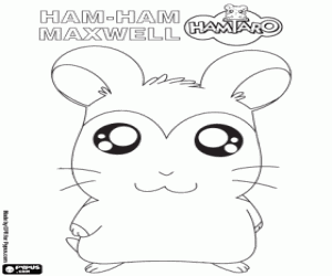 desenho de Maxwell um hamster Ham-Ham para colorir