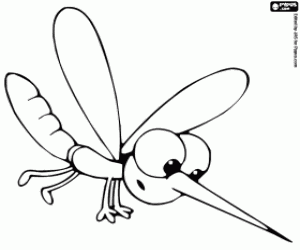 desenho de Um mosquito da lagoa para colorir