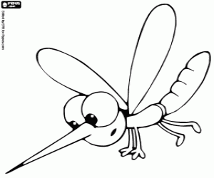 desenho de Mosquito para colorir