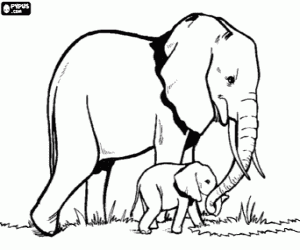 desenho de Mãe elefante e um elefante bebé para colorir