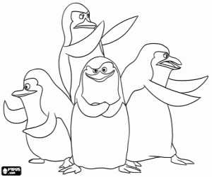 desenho de Os Pinguins de Madagascar para colorir