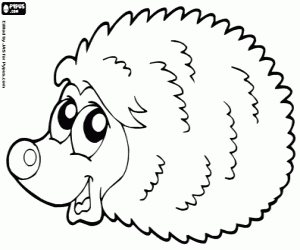 desenho de Ouriço para colorir