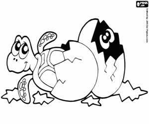 desenho de Ovos de tartaruga para colorir