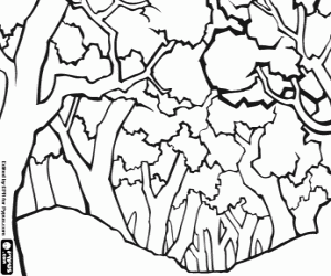 desenho de Uma paisagem arborizada para colorir