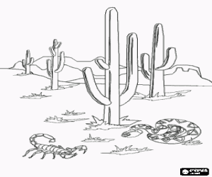 desenho de Paisagem do deserto de Sonora para colorir
