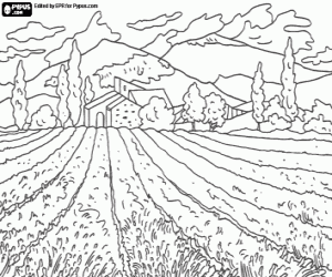 desenho de Paisagem rural com campo e casa para colorir