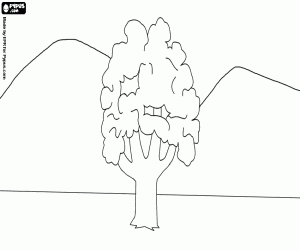 desenho de Paisagem com uma árvore solitária para colorir