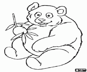 desenho de Panda-gigante para colorir