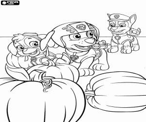 desenho de Os Paw Patrol e as abóboras para colorir