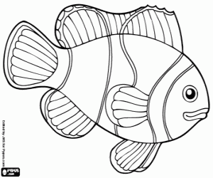 desenho de Peixe del coral com longa nadadeira dorsal para colorir