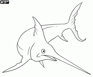 desenho de Peixe espada, um peixe predatório para colorir