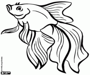 desenho de Um peixe espetacular para colorir