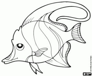 desenho de Peixe-palhaço, peixe de águas mais quentes para colorir