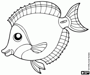 desenho de Peixe tropical de recifes de coral para colorir