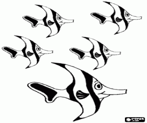 desenho de Muitos peixes e os recifes de coral para colorir