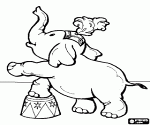 desenho de Pequeno elefante no circo para colorir