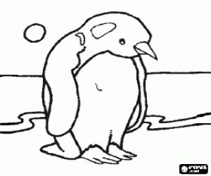 desenho de Um pinguim da Antártida para colorir