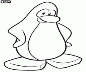 desenho de Pinguim do Club Penguin para colorir