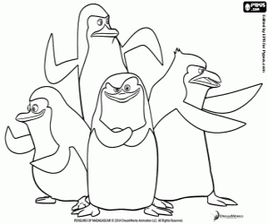 desenho de Pinguins de Madagascar, heróis para colorir