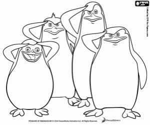 desenho de Pinguins de Madagascar militar para colorir