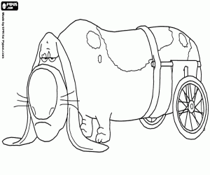 desenho de Pop é um cão idoso para colorir