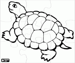 desenho de Puzzle de uma tartaruga para colorir