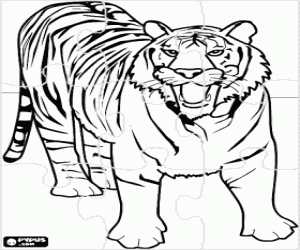 desenho de Puzzle de tigre para colorir