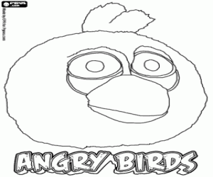 desenho de Pássaro azul, Angry Birds para colorir