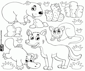 desenho de Quatro animais da fauna australiana para colorir