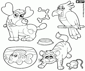 desenho de Quatro animais de estimação para colorir