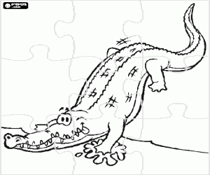 desenho de Quebra-cabeça com um crocodilo para colorir
