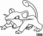 Rattata - Pokémon tipo Normal, rato de ataque rápido