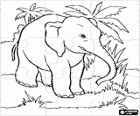 Puzzle de elefante na floresta