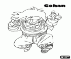 Gohan e Son Gohan, filho de Goku e Chichi, guerreiro meia-meia Saiyan e humano