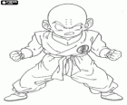 Kuririn é o primeiro adversário de Son Goku de formação com o Mestre Kame e se torna seu melhor amigo