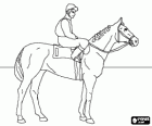 Jóquei montando no seu cavalo, antes do início da corrida