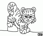 Um bebê tigre ou um filhote de tigre
