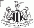 Emblema do Newcastle United FC, time de futebol da Inglaterra
