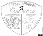 Logo do The New Saints FC, clube de futebol galês