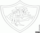 Emblema do Fluminense FC, clube desportivo e time de futebol no Rio de Janeiro, Brasil