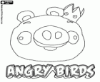 Rei porco aparece no final do jogo Angry Birds