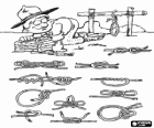 Explorador praticando com a corda os diferentes tipos de nós