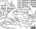 Pinguins praticando artes marciais no Club Penguin