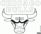 Logo Chicago Bulls, time da NBA. Divisão Central, Conferência Leste