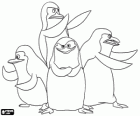 Os Pinguins de Madagascar