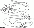 Luna e Artemis, os gatos são conselheiros de diferentes personagens nas histórias de Sailor Moon